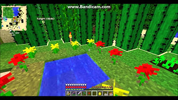 How to make a Twilight forrest portal- FTB Unleashed/ Minecraft