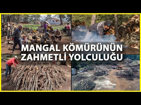 Mangal Kömürünün 'Zahmetli' Yolculuğu