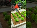 Here's a great mosquito repellent tip No more mosquitoes while working