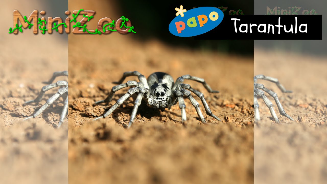 schleich tarantula