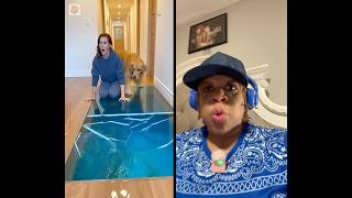 Bear & Hippo Jumps Out Floor Fish Tank