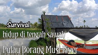 Berpetualang di pulau borang, sungai musi