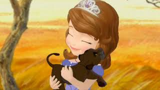 Simbas Grand Adventure. Part 13. Going Home. Everything Is Right.