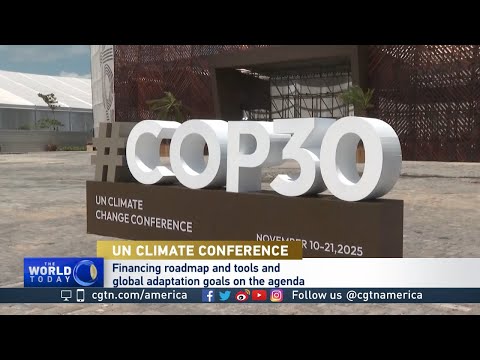 COP 30: Top of agenda: Turning the over $5B Tropical Forever Fund into action
