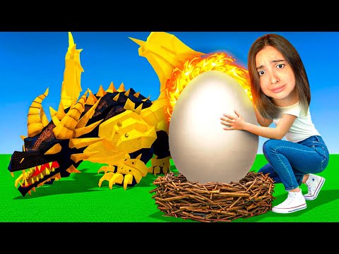 HOW CAN A STEAL AN EGG GAME ON ROBLOX BE THIS HARD...