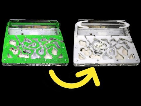 НЕОБЫЧНАЯ МУРАВЬИНАЯ ФЕРМА КОТОРАЯ МЕНЯЕТ ЦВЕТ - МУРАВЬИ НАПАЛИ НА ЖУКА!