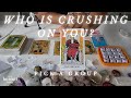 Who is crushing on you their intentions  your feelings  pick a crystal  tarot reading 