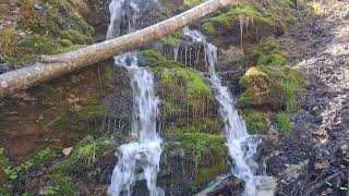 картинка: #Водопад в дикой природе, #waterfall in the wild #latvia #Relax
