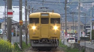【4K】JR福塩線　普通列車115系電車　ｵｶL-16編成