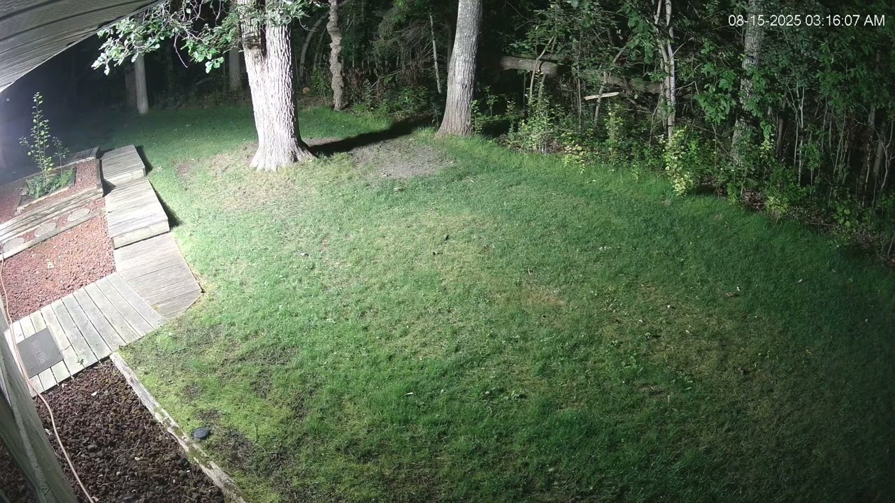 Backdoor 20250815 031410