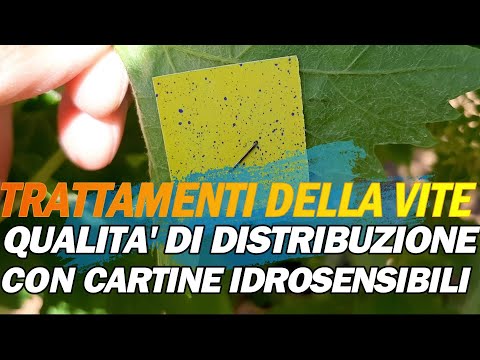 Video: Trattamento Efficace Della Pielonefrite: Un Elenco Dei Migliori Rimedi Popolari