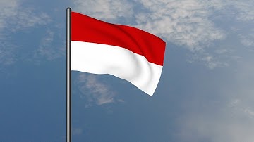 How to make flag waving in Cinema 4D