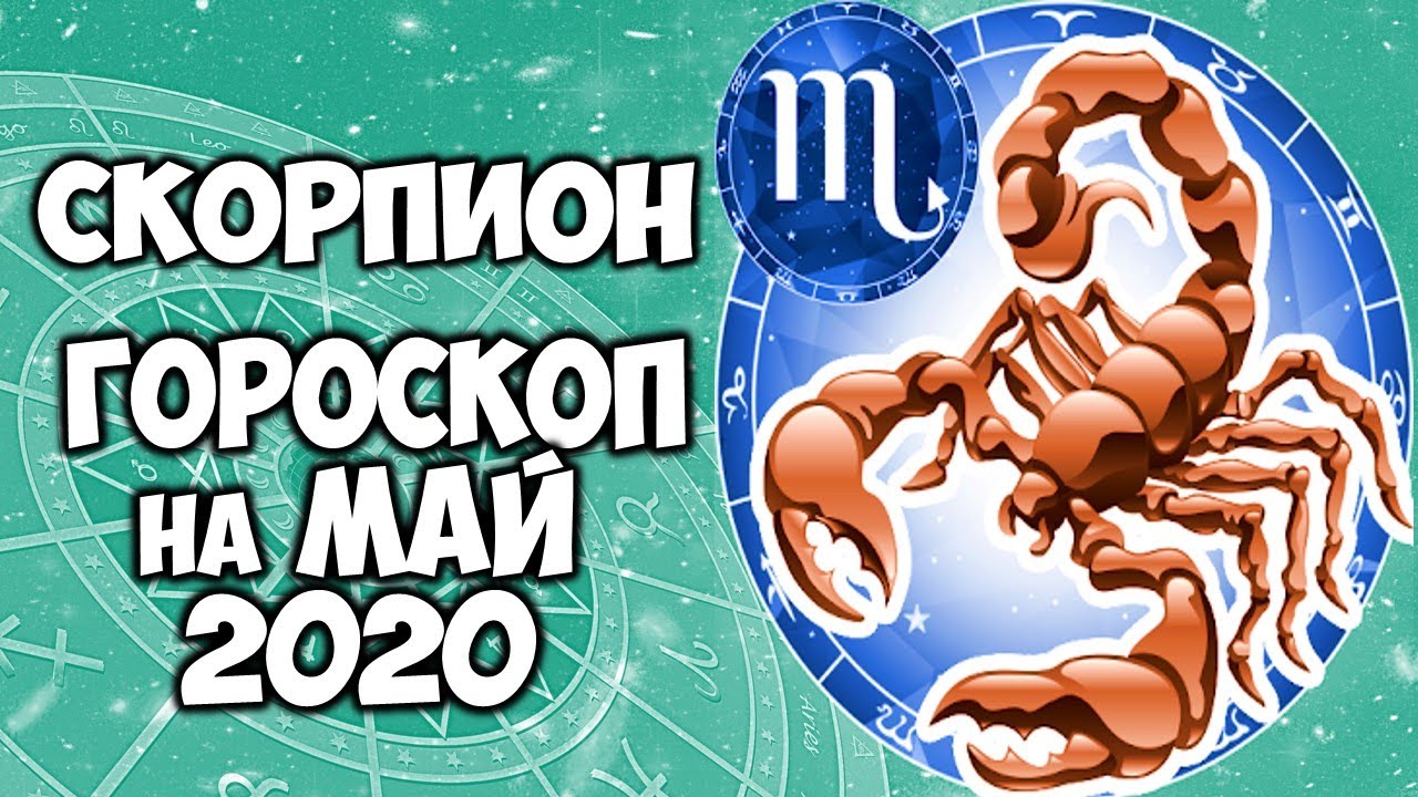 Скорпион прогноз на апрель 2020. Астропрогноз 2020 Скорпион. Гороскоп на май скорпион женщина