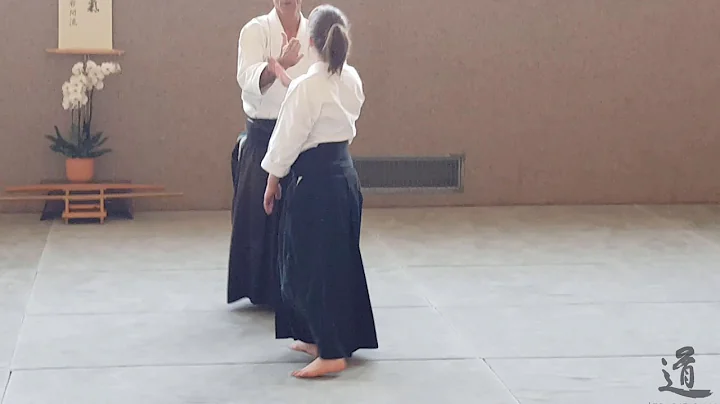 Traditional Aikido Europe - WORKING WITH AN ARC - ...
