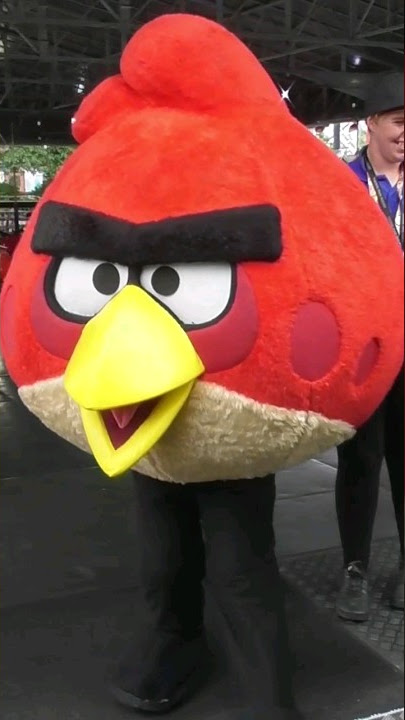 Angry bird on the dodgems #viral #themepark #blogger #funny #shorts #blogger #thorpeparkresort #fun