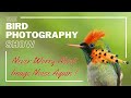 NEVER worry about Image NOISE again! Is cRAW better than RAW? The Bird Photography Show Ep. 2