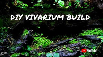 DIY TARANTULA ENCLOSURE