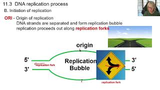 Genetics chapter 11 part 2