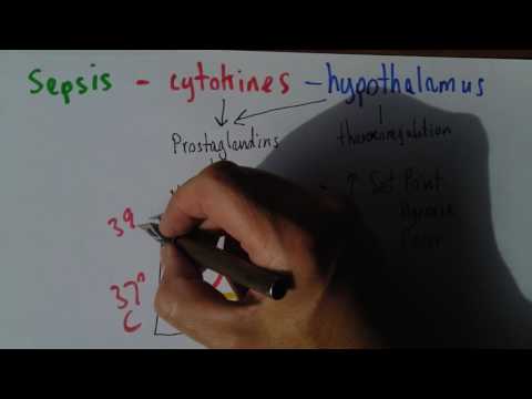 Sepsis 3, Hypothalamus and fever