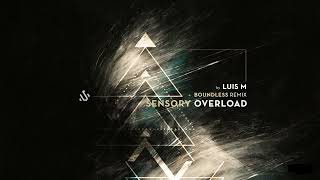 LUIS M - Sensory Overload (original mix)