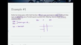 Genetics Example #1 - Complete Dominance Monohybrid