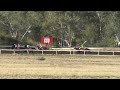 View race 5 video for 2022-09-11