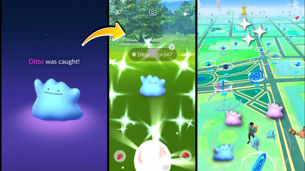 😍 100% get Shiny Ditto in Pokemon go. How to get Shiny Ditto. Best trick  for Shiny ditto 