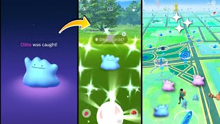 Best method to catch shiny Ditto in pokemon go | how to catch shiny ditto | Get shiny ditto. screenshot 5