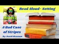 Understanding 'A Bad Case of Stripes'