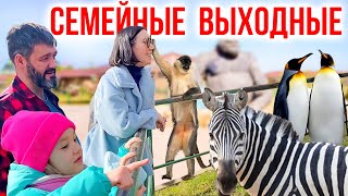 Выходные с семьей \ Планета обезьян \ Зоопарк \ Влог в зоопарке