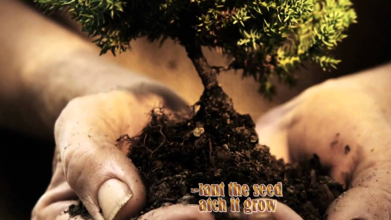 LOVE GROWN DEEP BY KENNY NOLAN akkoorden