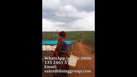 Traditional cassava chips processing VS Modern cassava chips processing machine