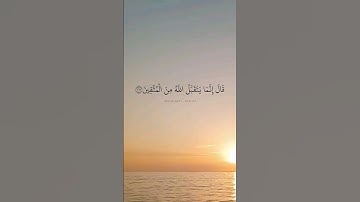 قال إنما يتقبل الله من المتقين. ماتيسر من سورة المائدة بصوت الشيخ سيد سعيد.