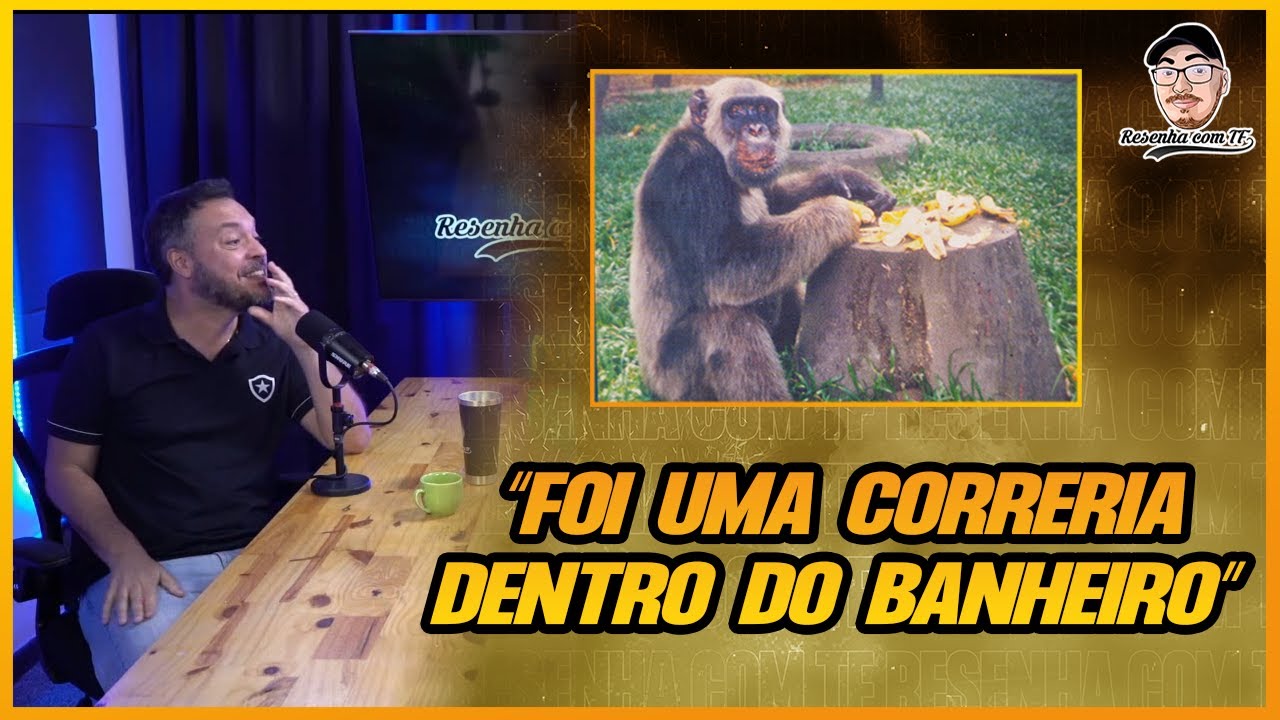 Documentário sobre macaco Tião sairá no segundo semestre - Jornal