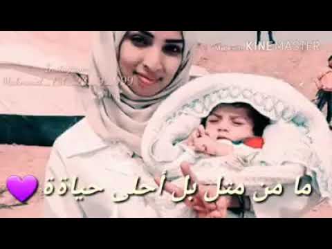 اغنيه عفت العيون بلا حراك