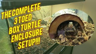 The Complete 3 Toed Box Turtle Enclosure Setup!!!