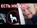 Для переезда только Дом или Таунхаус. Квартира отпадает.