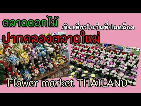 เดินเที่ยว​ ตลาดดอกไม้​ ปากคลองตลาดใหม่​ Flower market Thailand ตามหาดอกไม้แห้ง