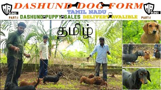 dachshund dog farm | dog kennels in tamil nadu |DOG FOR SALES, PUPPY SALES ,DOG Kennels