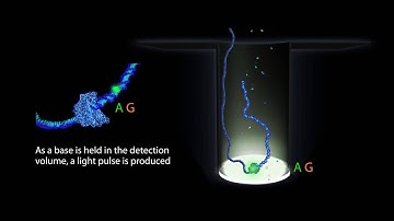 Roche An overview of SMRT Sequencing