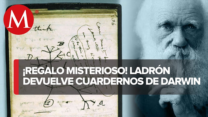 Charles Darwin: Devuelven dos cuadernos desaparecidos durante 20 años a Cambridge