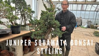 Juniper Squamata Bonsai Styling by Herons Bonsai 32,034 views 2 months ago 26 minutes