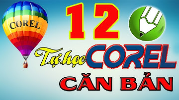 Tự học corel căn bản  Bài 12 Làm việc với công cụ Smart Fill