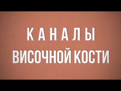 Каналы височной кости