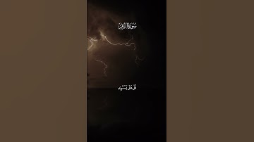 احمد بن طالب - سورة الزمر | امن هو قانت اناء الليل #قران #اكسبلور #أحمد_بن_طالب #تلاوة_خاشعة #quran