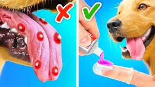 Sauve ton chien des boutons❗*Gadgets et Astuces pour Propriétaires d’Animaux de Compagnie*