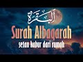 SURAH AL-BAQARA | Setan kabur Dari Rumah dan untuk Menyembuhkan Sihir - Penenang Hati dan Pikiran