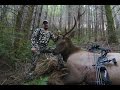 ROOSEVELT ELK HUNTING IN OREGON WITH BOW