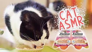 🎧 ASMR Cat eats wet food | Inaba Twins - Tuna & Chicken with Salmon Recipe by Curry Sugar Meow 3,010 views 3 years ago 12 minutes, 14 seconds