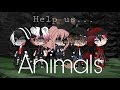 Animals//GLMV